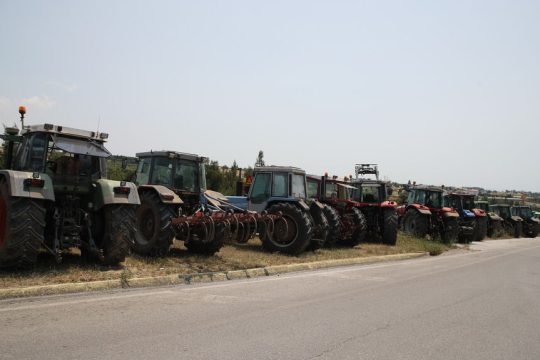agrotes